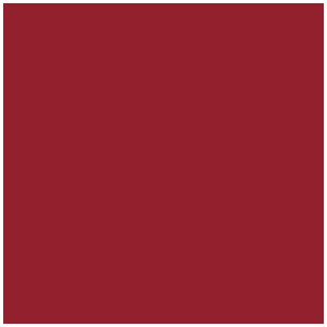 Falcon Eyes BackDrop (56) фон бумажный красный 2.72x10м