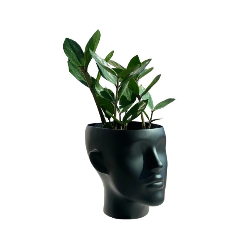 Gustavson Lady кашпо