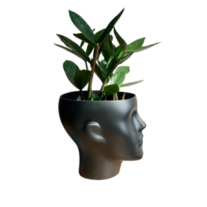 Gustavson Lady кашпо