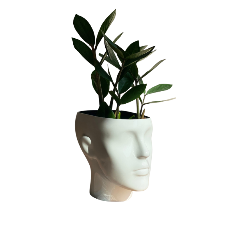 Gustavson Lady кашпо