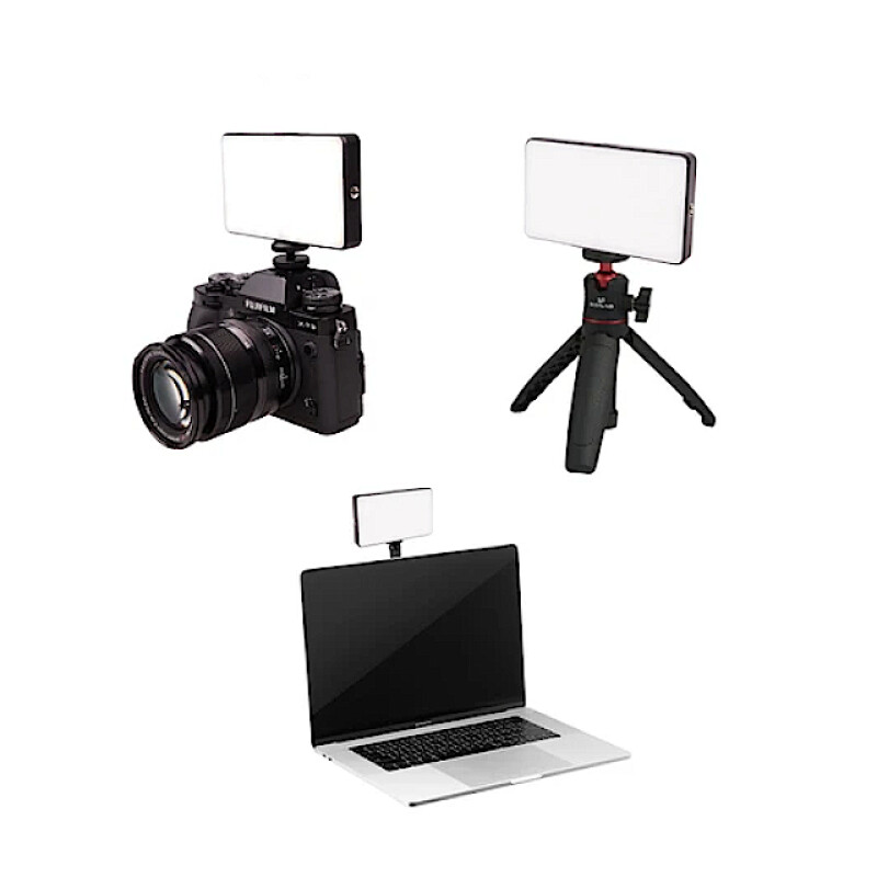 Raylab RL-LED08BI-2 2500-6500K 3100mAh светодиодный осветитель