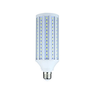 Raylab RL-LC30 30Вт E27 5500К лампа светодиодная