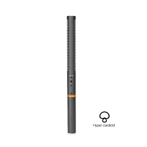 E-IMAGE PM-876 Professional shotgun microphone middle 19*285 mm микрофон