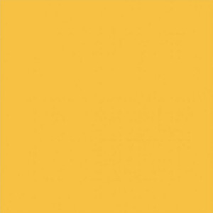 FST 1014 GINGER бумажный фон оранжевый 2,72х9 м