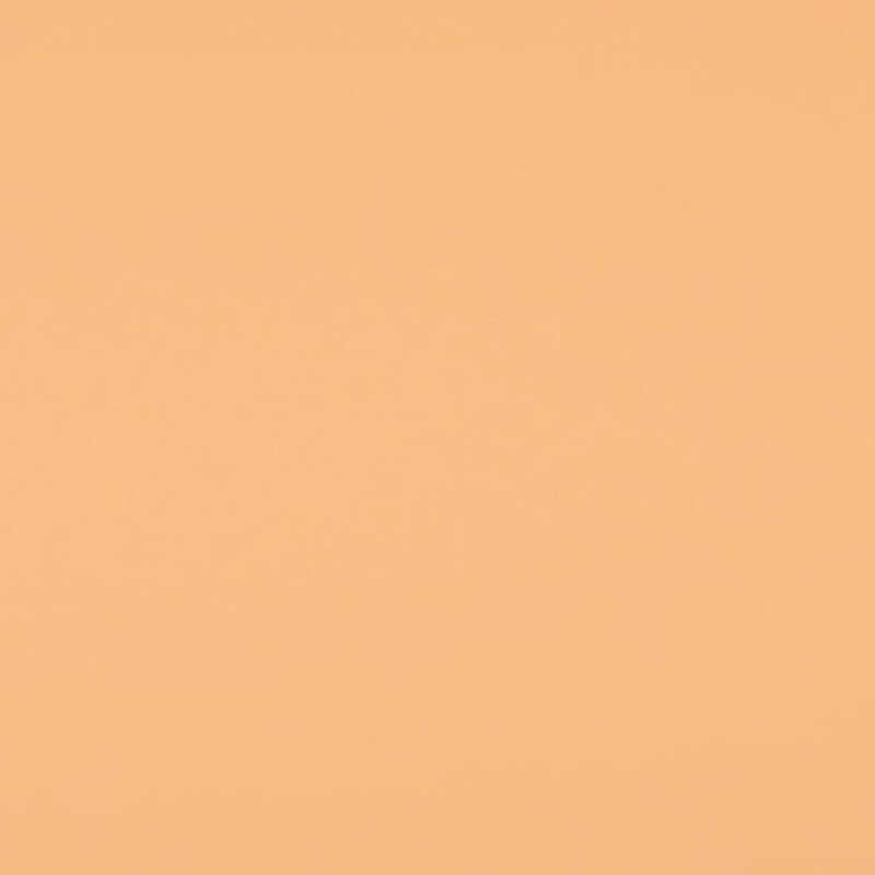 FST 1029 NATURAL бумажный фон телесный 2,72х9 м