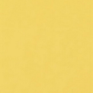 FST 1040 BULL бумажный фон горчичный 2,72х9 м