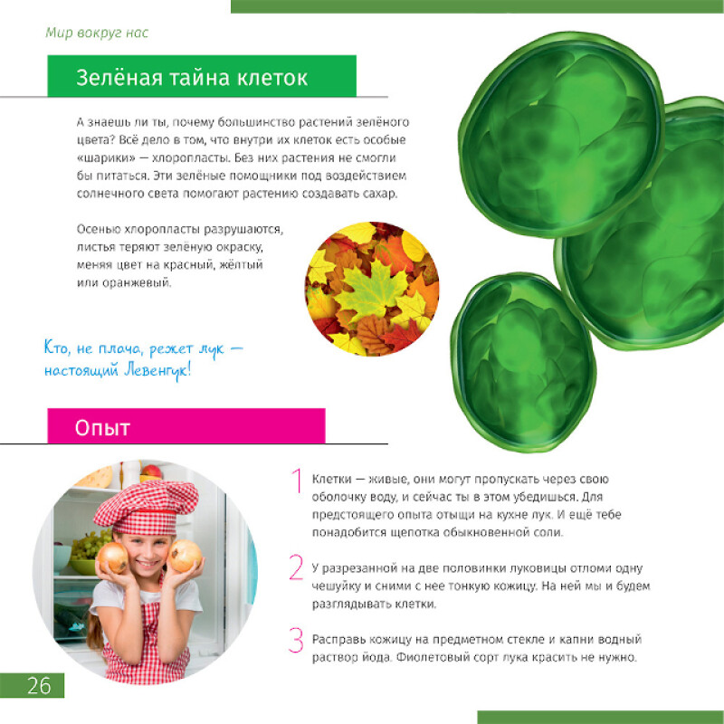 Levenhuk Discovery Nano Polar микроскоп цифровой с книгой