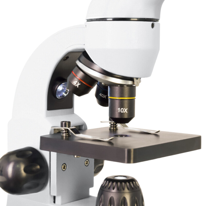 Levenhuk Rainbow 50L PLUS микроскоп Moonstone\Лунный камень