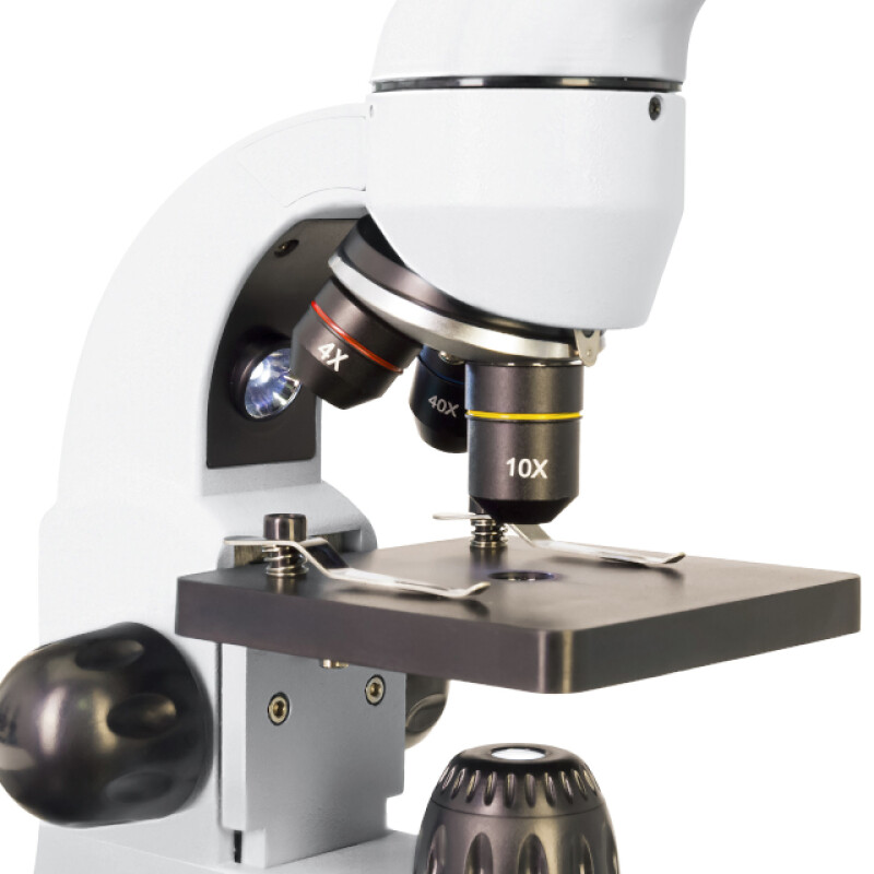 Levenhuk Rainbow 50L микроскоп Moonstone\Лунный камень