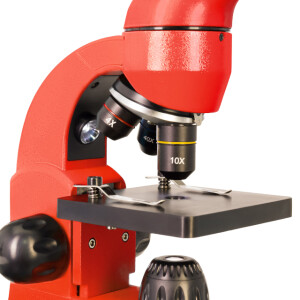 Levenhuk Rainbow 50L микроскоп Orange\Апельсин