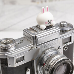 Fotokvant PRZ-020 C10 заглушка на горячий башмак кролик Cony