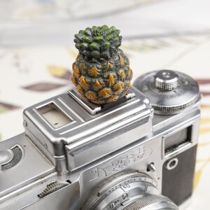 Fotokvant PRZ-030 F1 заглушка на горячий башмак ананас