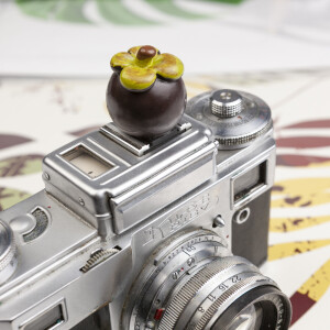 Fotokvant PRZ-032 F3 заглушка на горячий башмак мангустин