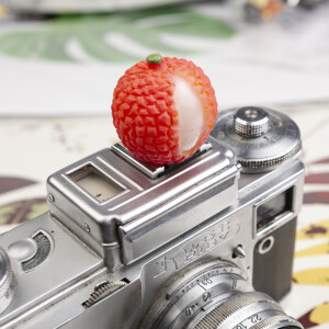 Fotokvant PRZ-033 F4 заглушка на горячий башмак личи