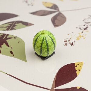 Fotokvant PRZ-036 F7 заглушка на горячий башмак арбуз