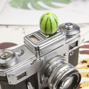 Fotokvant PRZ-036 F7 заглушка на горячий башмак арбуз