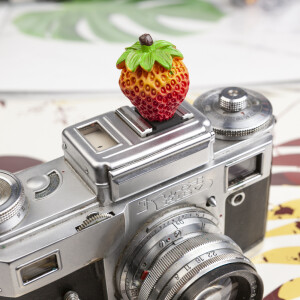 Fotokvant PRZ-037 F8 заглушка на горячий башмак клубника