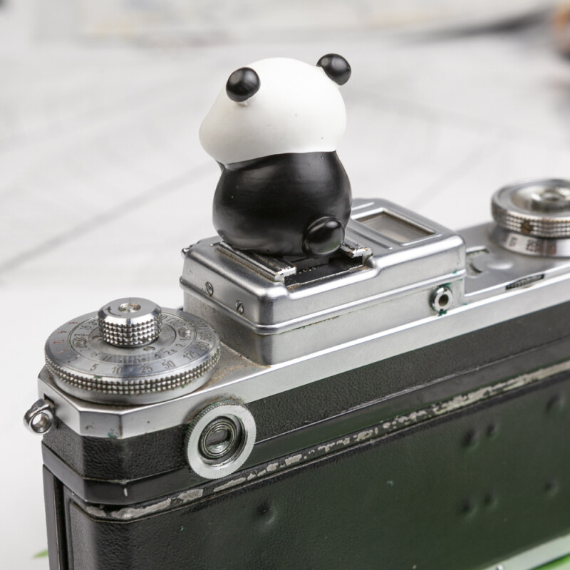 Fotokvant PRZ-073 P13 заглушка на горячий башмак панда №4