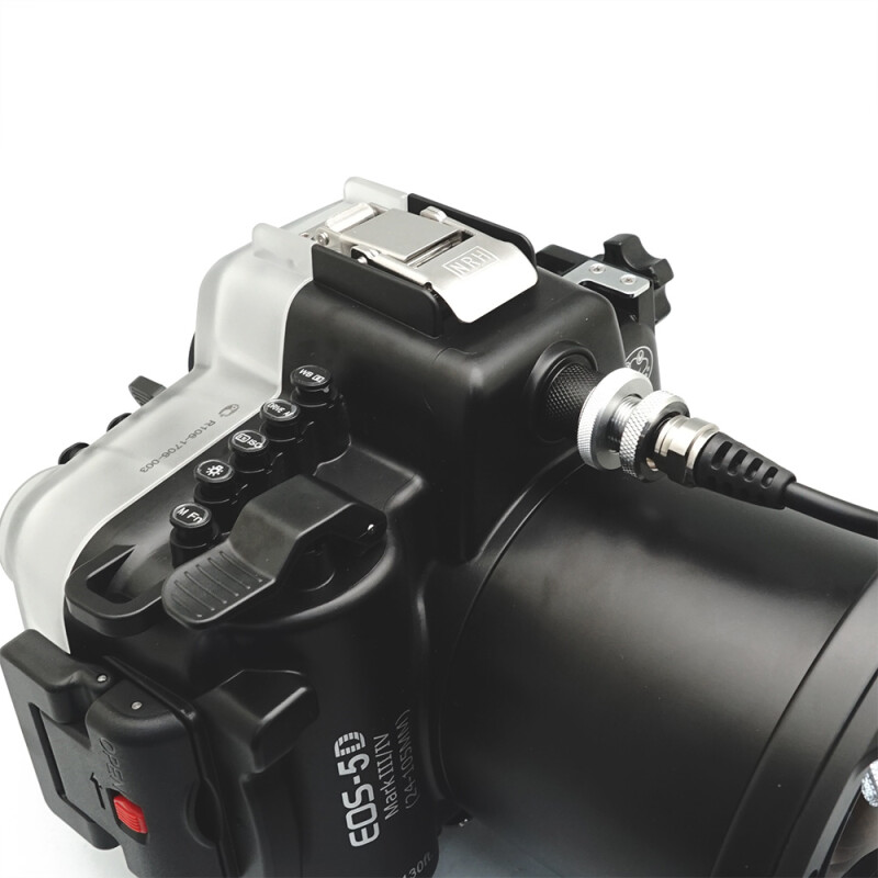 Sea Frogs 5D Mark IV + WDP155/106 подводный бокс для Canon 5D Mark III/ Mark IV + WDP 155/106