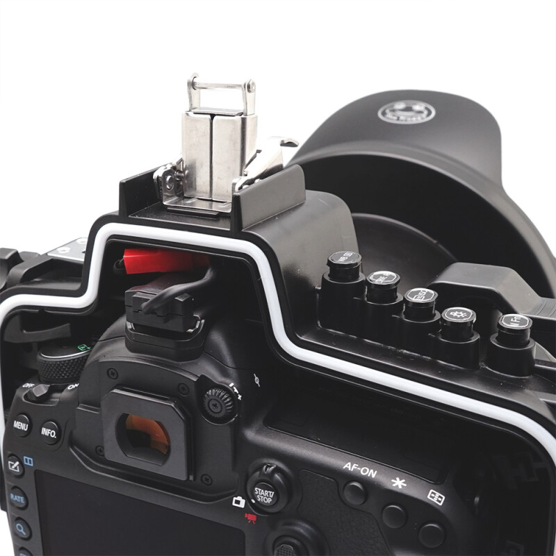 Sea Frogs 5D Mark IV + WDP155/106 подводный бокс для Canon 5D Mark III/ Mark IV + WDP 155/106