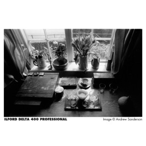 ILFORD DELTA 400/36 фотопленка