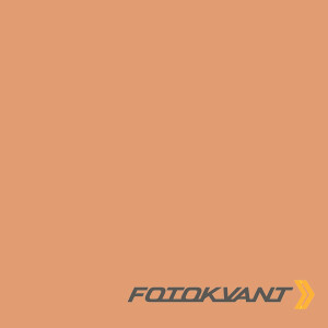 Fotokvant BGP-0610-48 Spice фон бумажный 0.6х10 м цвет специи