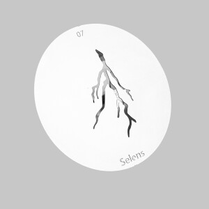 Selens 841697 Gobo-07 маска гобо 07 металлическая 58 мм молния