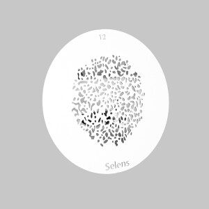 Selens 841702 Gobo-12 маска гобо 12 металлическая 58 мм пятна