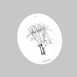 Selens 841720 Gobo-30 маска гобо 30 металлическая 58 мм роща