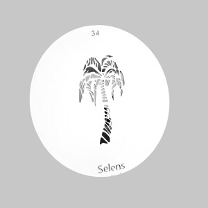 Selens 841724 Gobo-34 маска гобо 34 металлическая 58 мм пальма