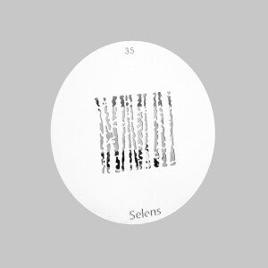 Selens 841725 Gobo-35 маска гобо 35 металлическая 58 мм березовая роща