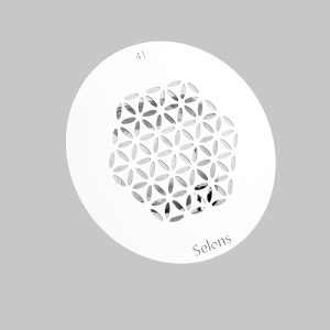 Selens 841731 Gobo-41 маска гобо 41 металлическая 58 мм соты