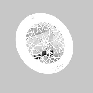 Selens 841737 Gobo-47 маска гобо 47 металлическая 58 мм геометрический узор