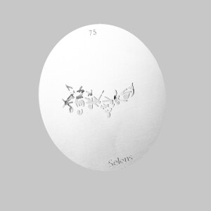 Selens 841765 Gobo-75 маска гобо 75 металлическая 58 мм нотная линия