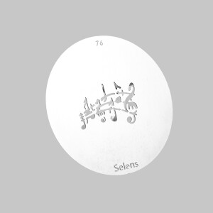 Selens 841766 Gobo-76 маска гобо 76 металлическая 58 мм ноты