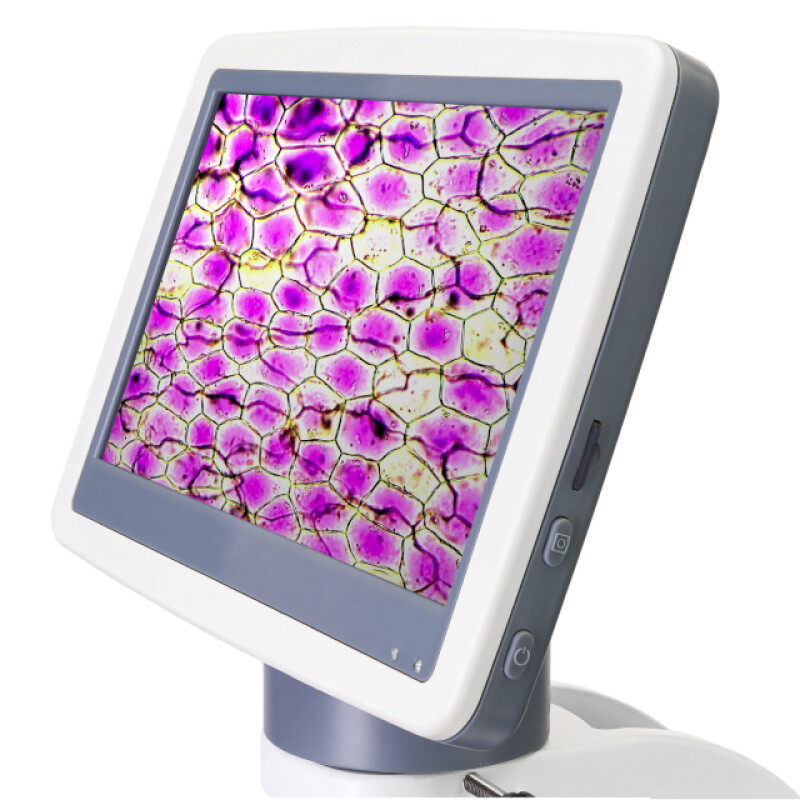 Levenhuk D85L LCD микроскоп цифровой