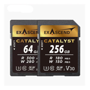 Exascend Catalyst UHS-I SD V30 256GB карта памяти