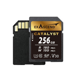 Exascend Catalyst UHS-I SD V30 256GB карта памяти
