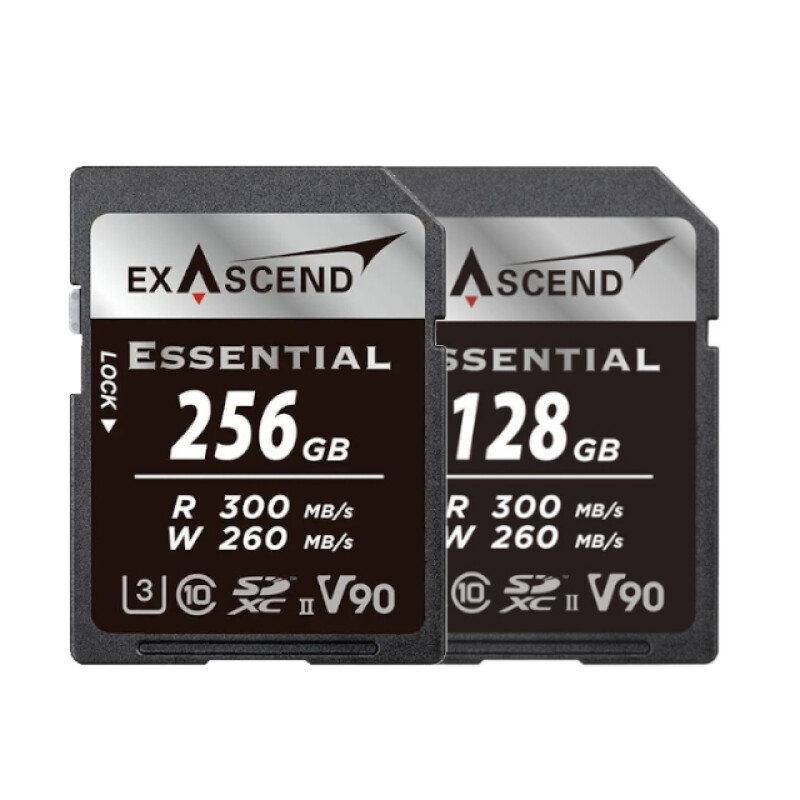 Exascend Essential UHS-II SD V90 256GB карта памяти