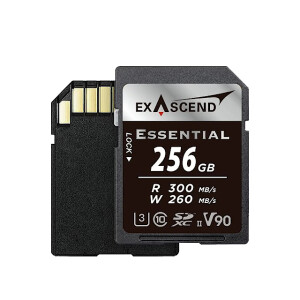 Exascend Essential UHS-II SD V90 256GB карта памяти