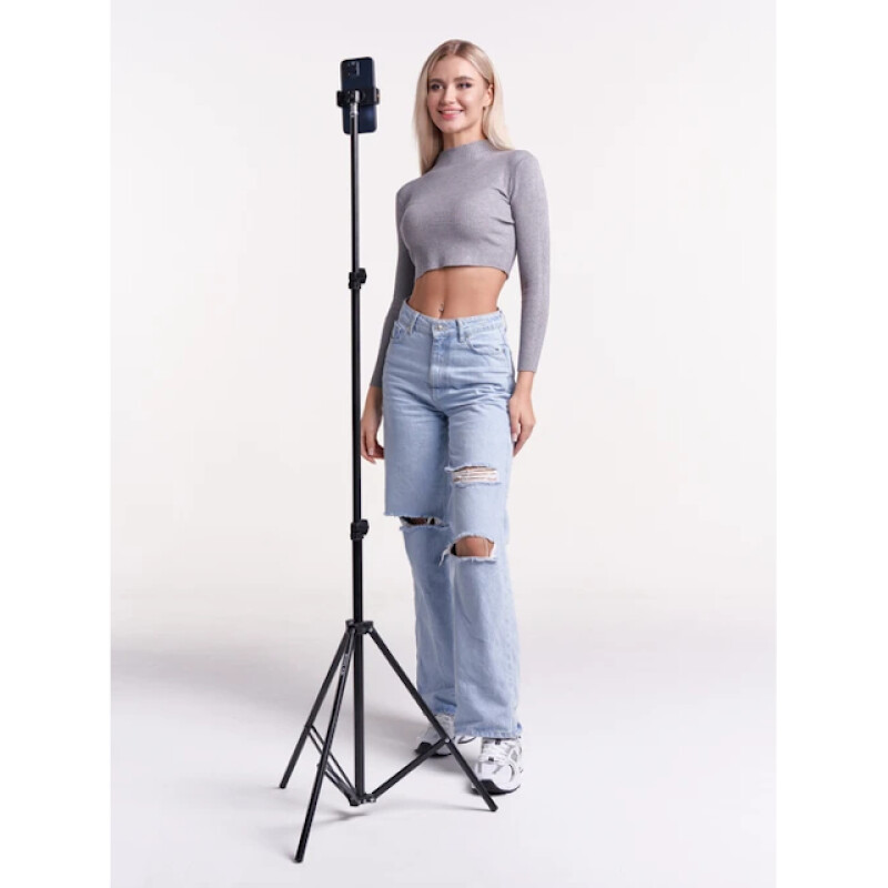 Raylab 190 штатив для телефона с держателем и пультом