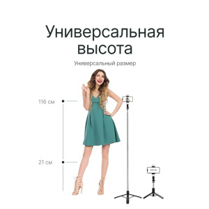 Raylab MT-Light 21-116см штатив монопод для селфи с подсветкой