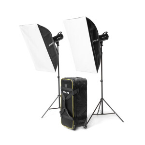 Raylab RL-100 Kit 5600К светодиодный комплект постоянного света