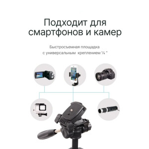 Raylab Travel 63 штатив с головой