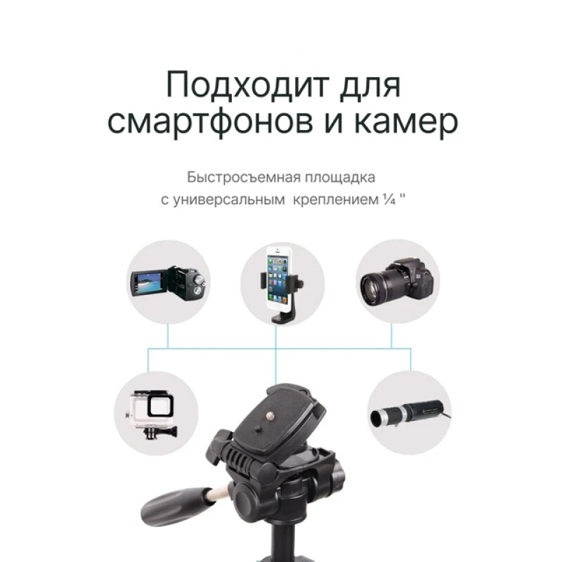 Raylab Travel 63 штатив с головой