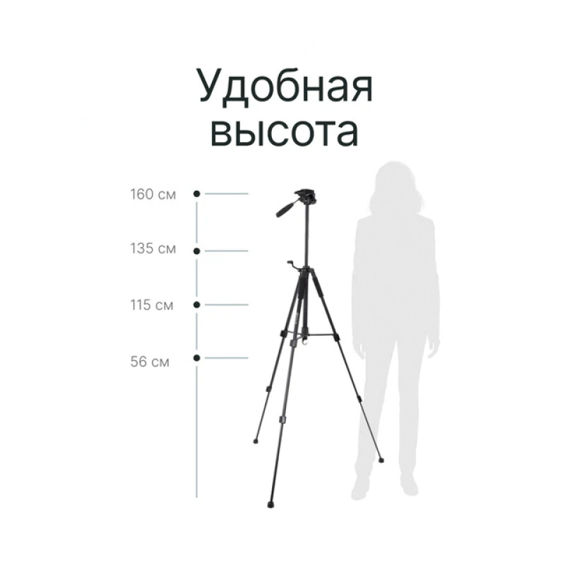 Raylab Travel 63 штатив с головой