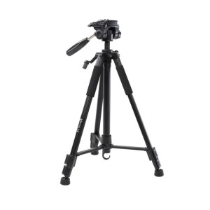 Raylab Travel 63 штатив с головой