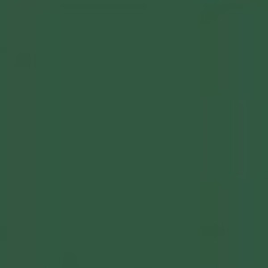 Wansen SBP-27211-12 Deep Green фон бумажный темно-зеленый 2,72x11 м