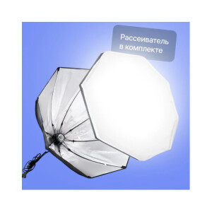 Raylab D-Light 1 светодиодный комплект постоянного света