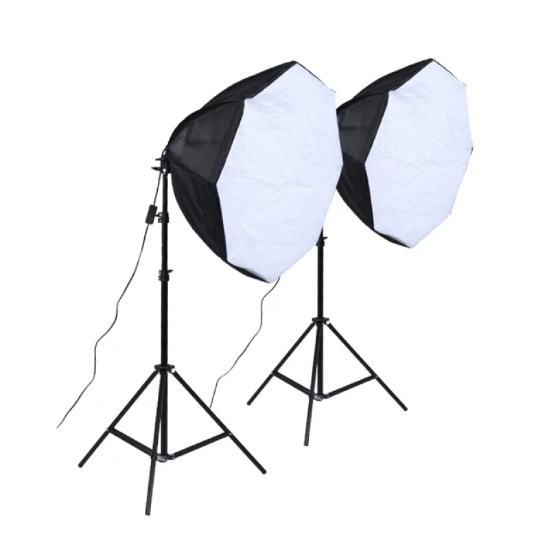 Raylab D-Light 1 светодиодный комплект постоянного света